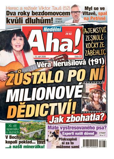 Nedělní Aha! - 37/2026 - CZECH NEWS CENTER a. s.