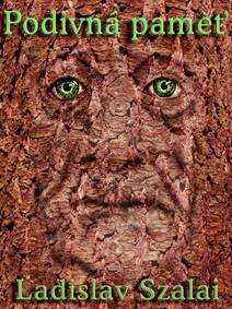 Obálka Podivná paměť