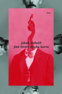 Obálka Jiné životy Hynka Harra