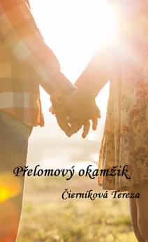 Obálka Přelomový okamžik