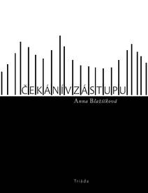 Obálka Čekání v zástupu