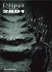 Obálka Případ 2801