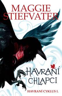 Obálka Havraní chlapci