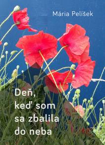 Obálka Deň, keď som sa zbalila do neba