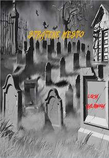 Obálka Stratené mesto