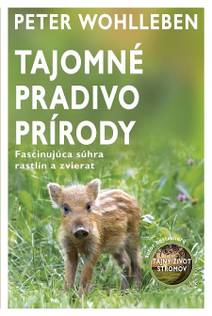 Obálka Tajomné pradivo prírody