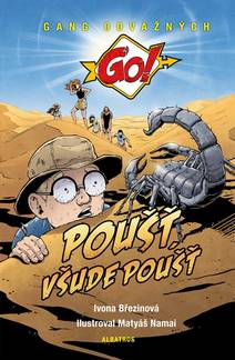 Obálka Poušť, všude poušť