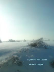 Obálka Tajemství pod ledem