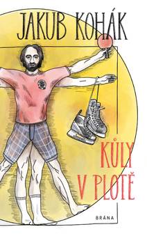 Obálka Kůly v plotě - fejetonové sloupky