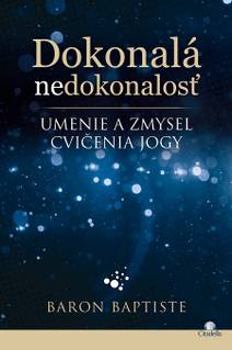 Obálka Dokonalá nedokonalosť