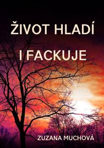 Obálka Život hladí i fackuje