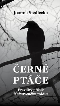 Obálka Černé ptáče