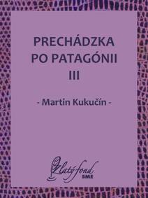 Obálka Prechádzka po Patagónii III