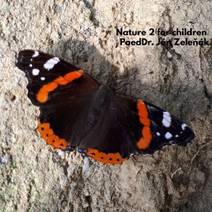 Obálka Nature for children, part 2