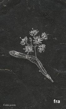 Obálka Herbář k čemusi horšímu