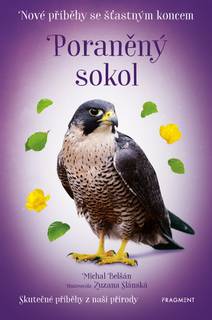 Obálka Nové příběhy se šťastným koncem – Poraněný sokol