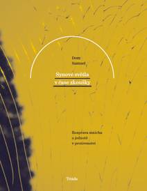 Obálka Synové světla v čase zkoušky