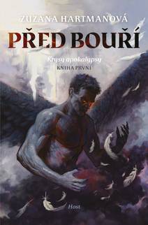 Obálka Před bouří