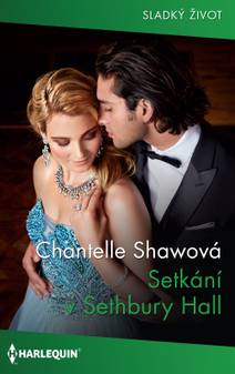 Obálka Setkání v Sethbury Hall