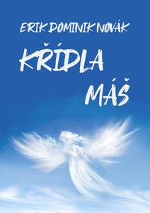 Obálka Křídla máš
