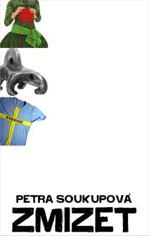 Obálka Zmizet