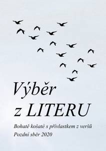 Obálka Výběr z LITERU