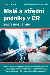 Obálka Malé a střední podniky v ČR – současnost a vize