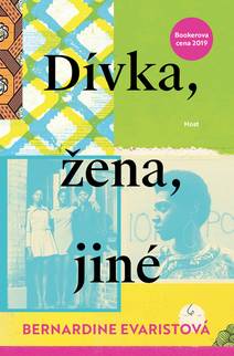 Obálka Dívka, žena, jiné