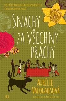 Obálka Snachy za všechny prachy