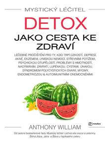 Obálka Mystický léčitel: Detox jako cesta ke zdraví