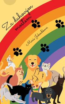 Obálka Za duhovým mostem