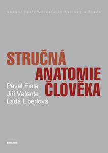 Obálka Stručná anatomie člověka
