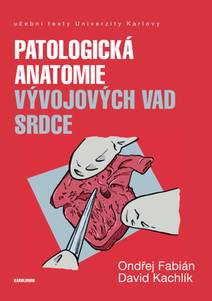 Obálka Patologická anatomie vývojových vad srdce