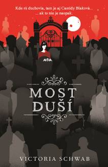 Obálka Most duší
