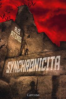 Obálka Synchronicita