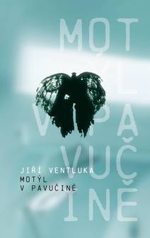 Obálka Motýl v pavučině