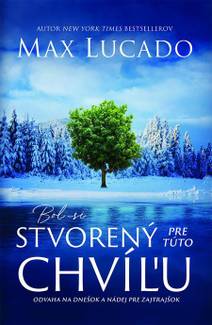 Obálka Bol si stvorený pre túto chvíľu