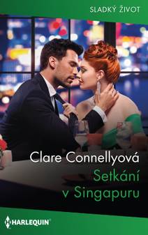 Obálka Setkání v Singapuru