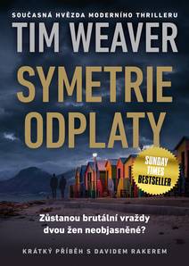 Obálka Symetrie odplaty