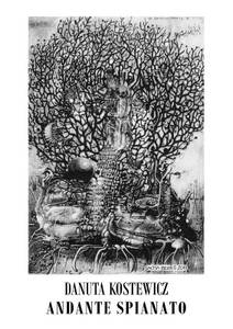 Obálka Andante spianato