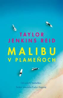 Obálka Malibu v plameňoch