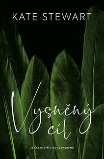 Obálka Vysněný cíl