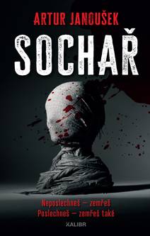 Obálka Sochař