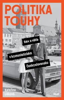 Obálka Politika touhy