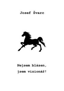 Obálka Nejsem blázen, jsem vizionář!