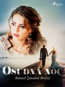 Obálka Osudná noc