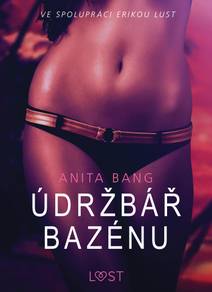 Obálka Údržbář bazénu – Sexy erotika