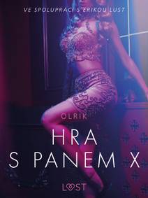 Obálka Hra s panem X – Erotická povídka