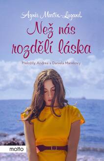 Obálka Než nás rozdělí láska