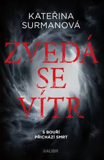 Obálka Zvedá se vítr